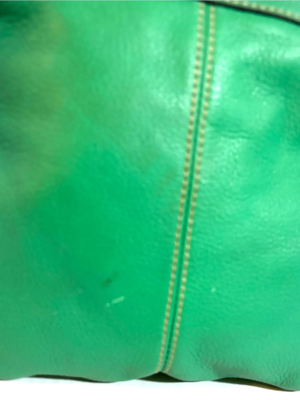 Francesco Biasia Emerald Green Leather Crossbody Bag